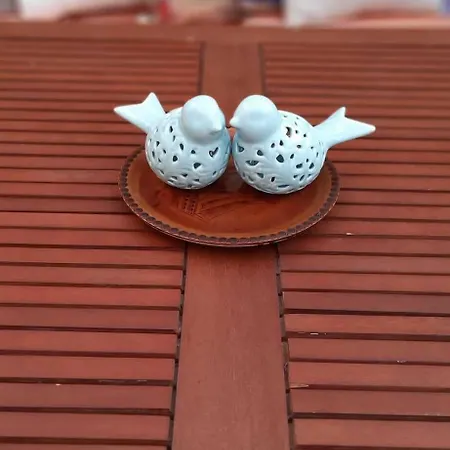 Arden's House Bodrum