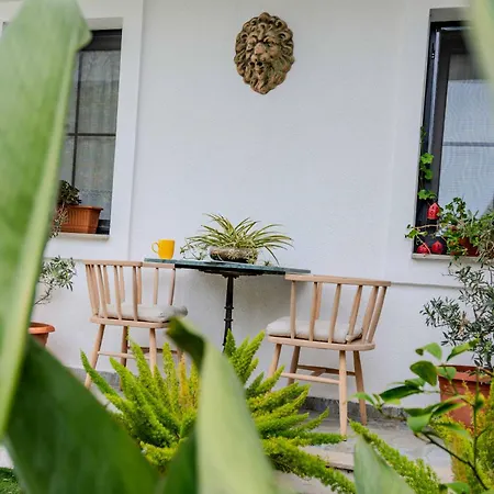 Bed and breakfast Arden's House