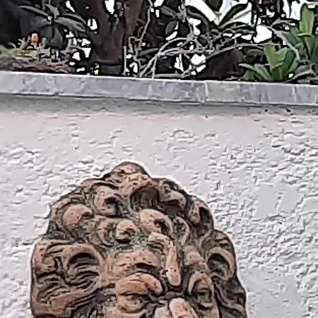 Arden's House Bed and breakfast