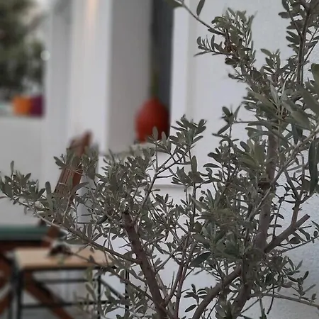 Bed and breakfast Arden's House